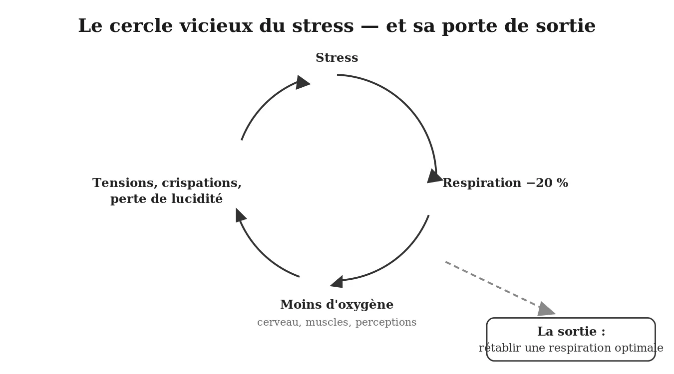 Le cercle vicieux du stress, et sa porte de sortie